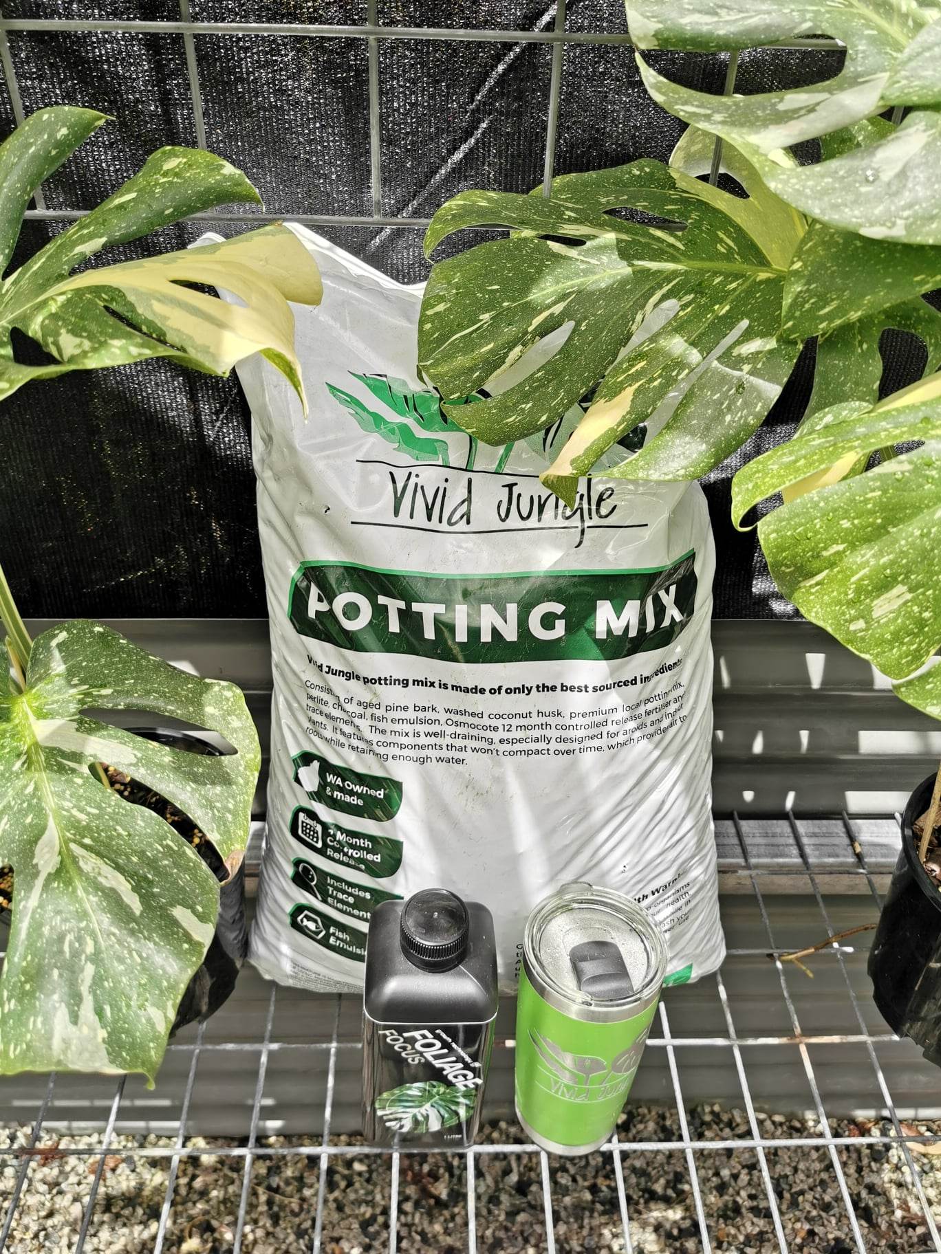 Potting Mix , GT Foliage Focus & VJ mug